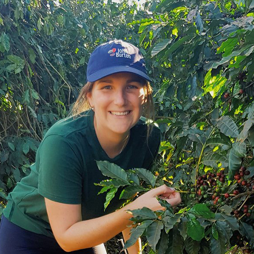 A woman wearing a cap and green teeshirt leans over to show a coffee tree branch