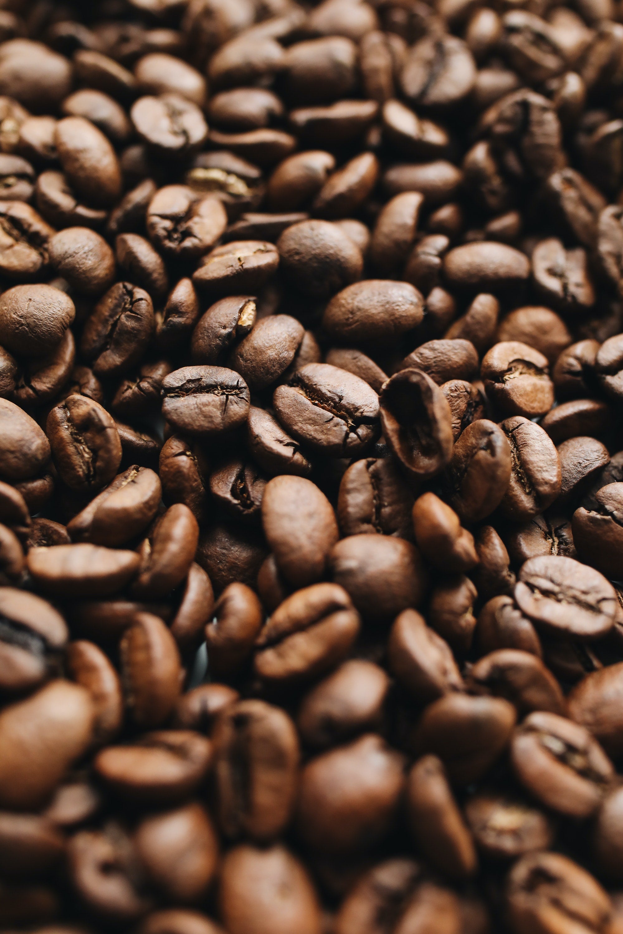 Close up image of roasted coffee beans. 